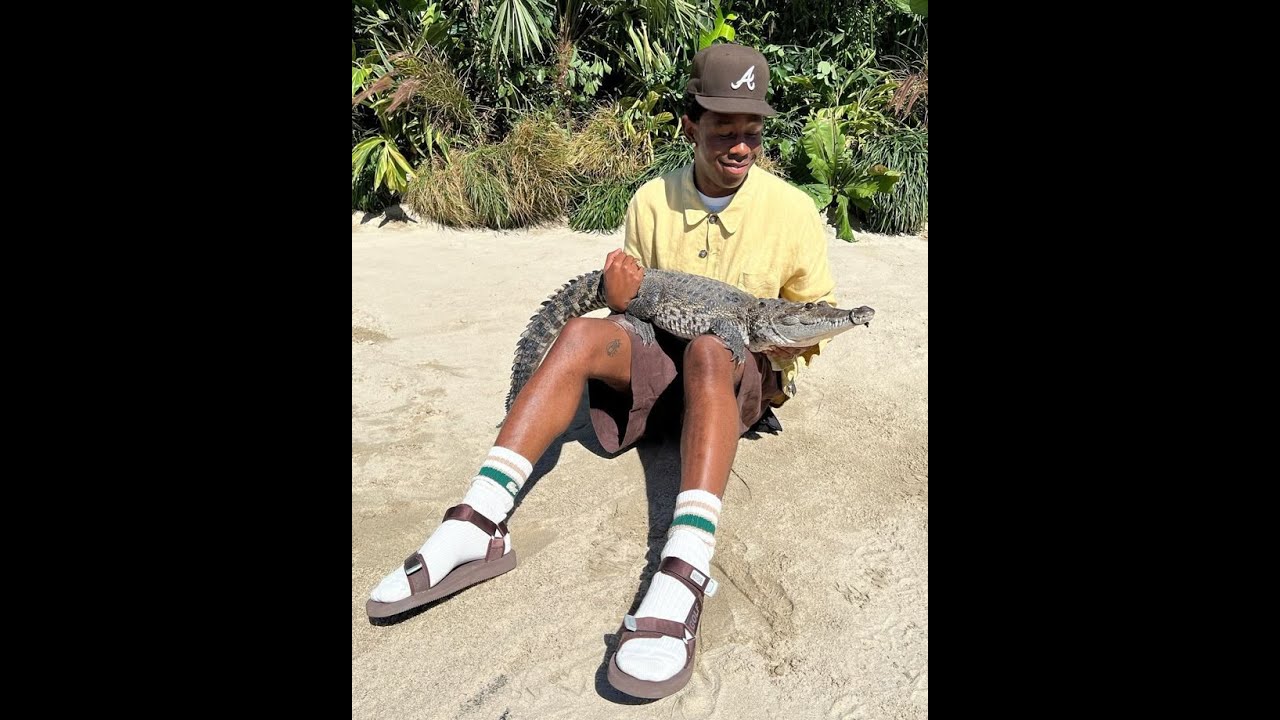 [FREE] sample jerk + tyler the creator type beat - 
