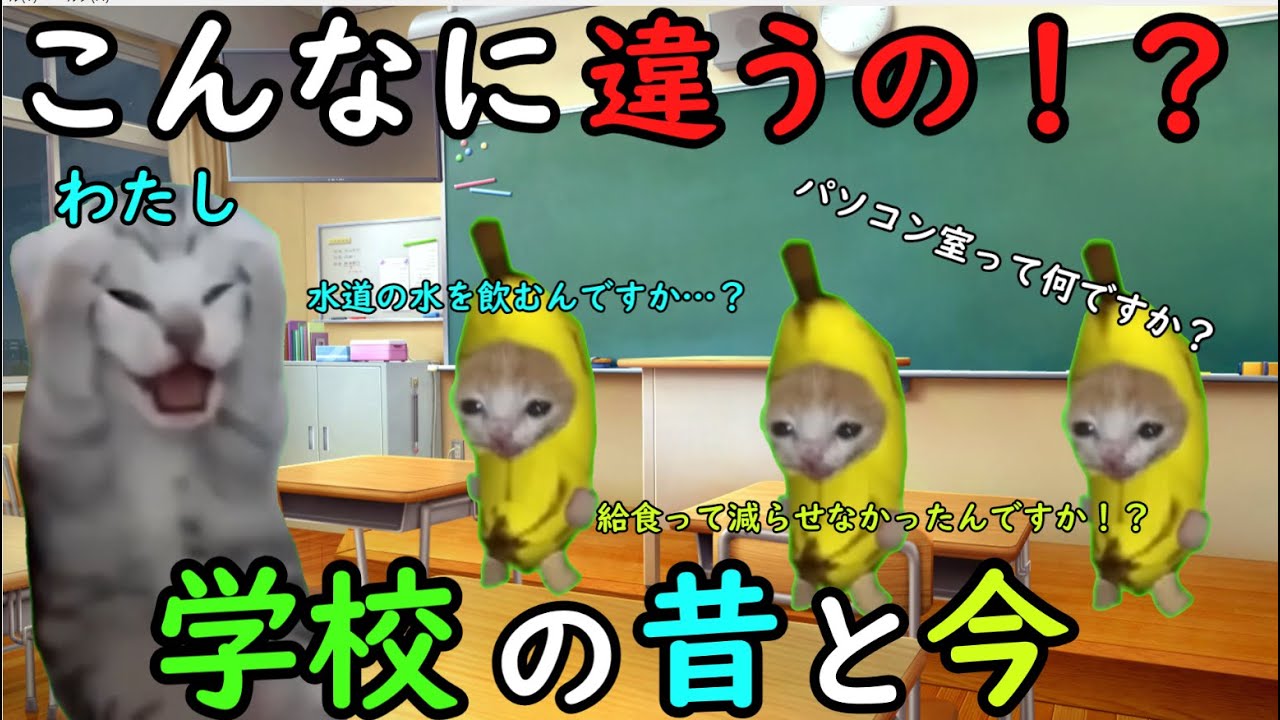 【実話】こんなに違うの！？学校の昔と今！！【猫ミーム】