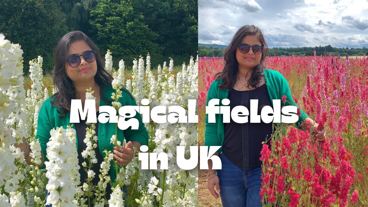 Magical Confetti Flower Fields-Pershore 