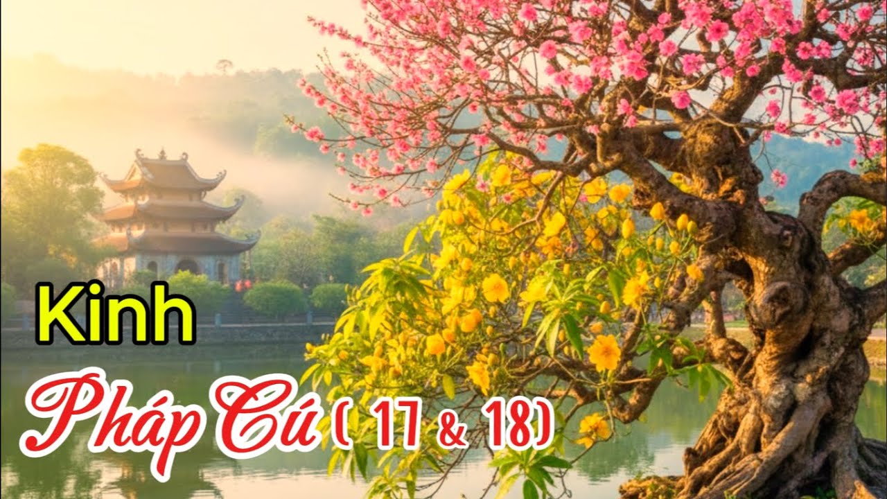 🙏 Kinh Pháp Cú: Kệ 17 & 18 | The Dhammapada: Verse 17 & 18