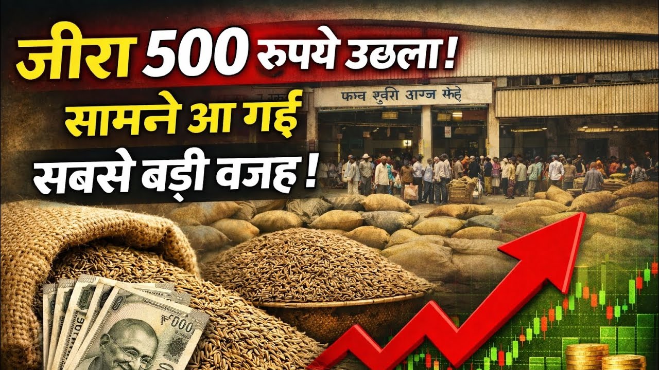 ऊंझा मंडी में जीरा 500₹ उछला | क्या है अचानक तेजी की सबसे बड़ी वजह? | Jeera Market Update Today