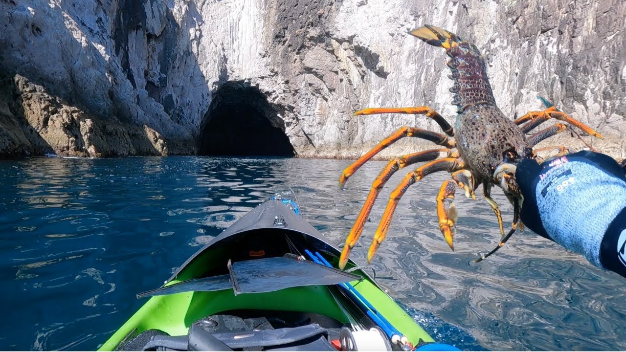 HUGE SEA CAVE EXPLORING and Freediving for CRAYFISH (Rock Lobster) off a kayak!