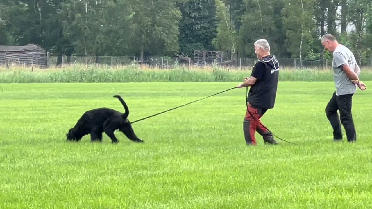 tracking Mack