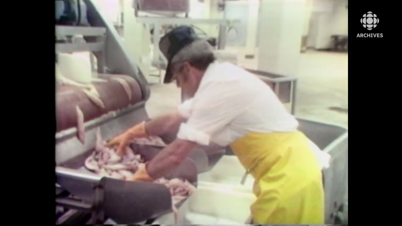 Le sauvetage de la faillite de l’usine de transformation de poisson Madelipêche en 1986