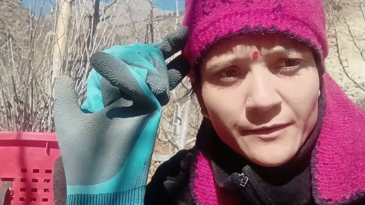 आज मेरा एक ही काम था पूरे दिनबर 🥵😌🥵 #housewifelife #winterwork #highlights #highlights 