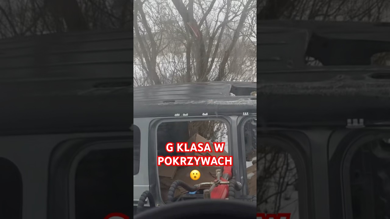G KLASA W POKRZYWACH 😂😂😂 #graoplon #shorst #funnymoments #viral