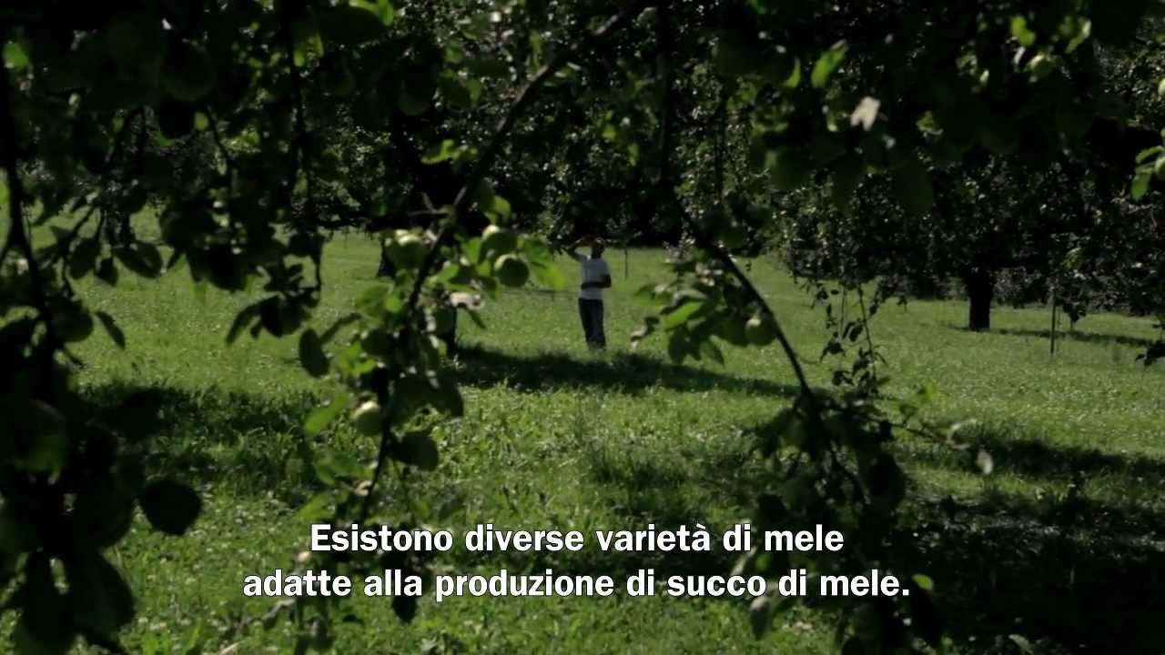 Migros Intervista: Coltivazione di frutta TerraSuisse