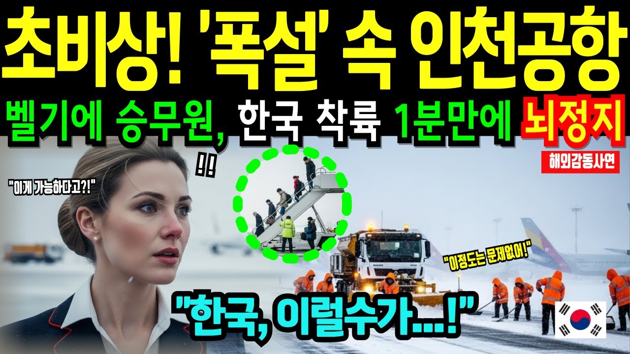 [해외감동사연] 벨기에 미녀승무원, 초비상! ‘폭설’로 인천공항 불시착 하자마자 무릎꿇은 이유