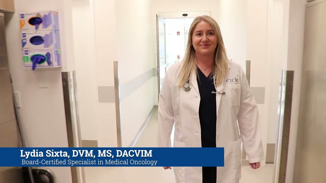 “Electrochemotherapy for Pets: Advanced Cancer Treatment for Dogs & Cats Explained”