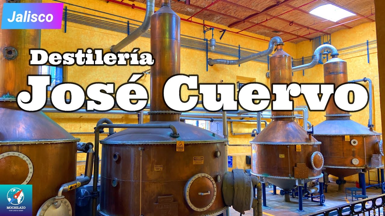 Tour DESTILERIA JOSE CUERVO en Tequila Jalisco| Tour por Tequila #MEXICO