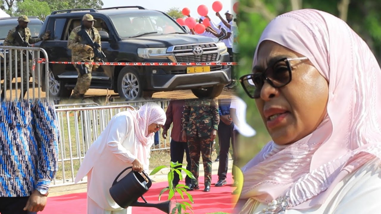 SIKU YA KUZALIWA YA RAIS SAMIA TAZAMA MSAFARA ULIVYOWASILI BUNGI ZNZ, SIKU YA KUZALIWA APANDA MTI