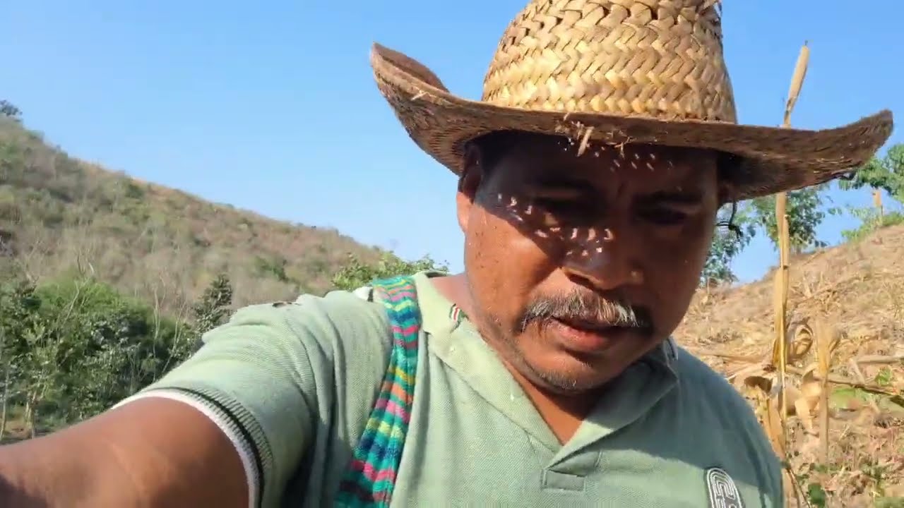 Recorriendo los campos y checando las vacas 