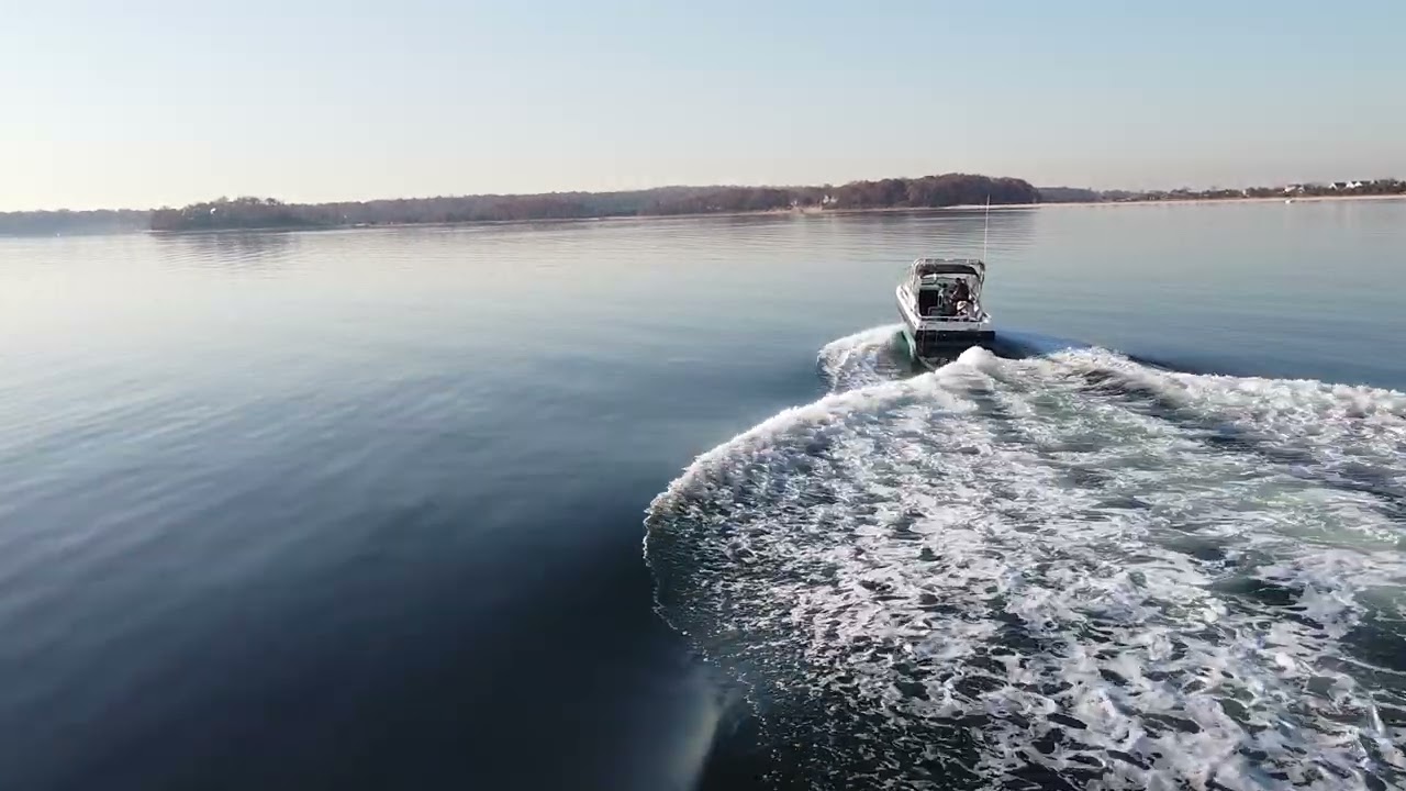 Four Winns 245 Vista Cruiser OMC King Cobra Power Boat in Action HD