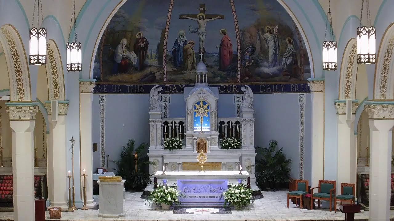Friday Mass 8:15 AM / Rosary