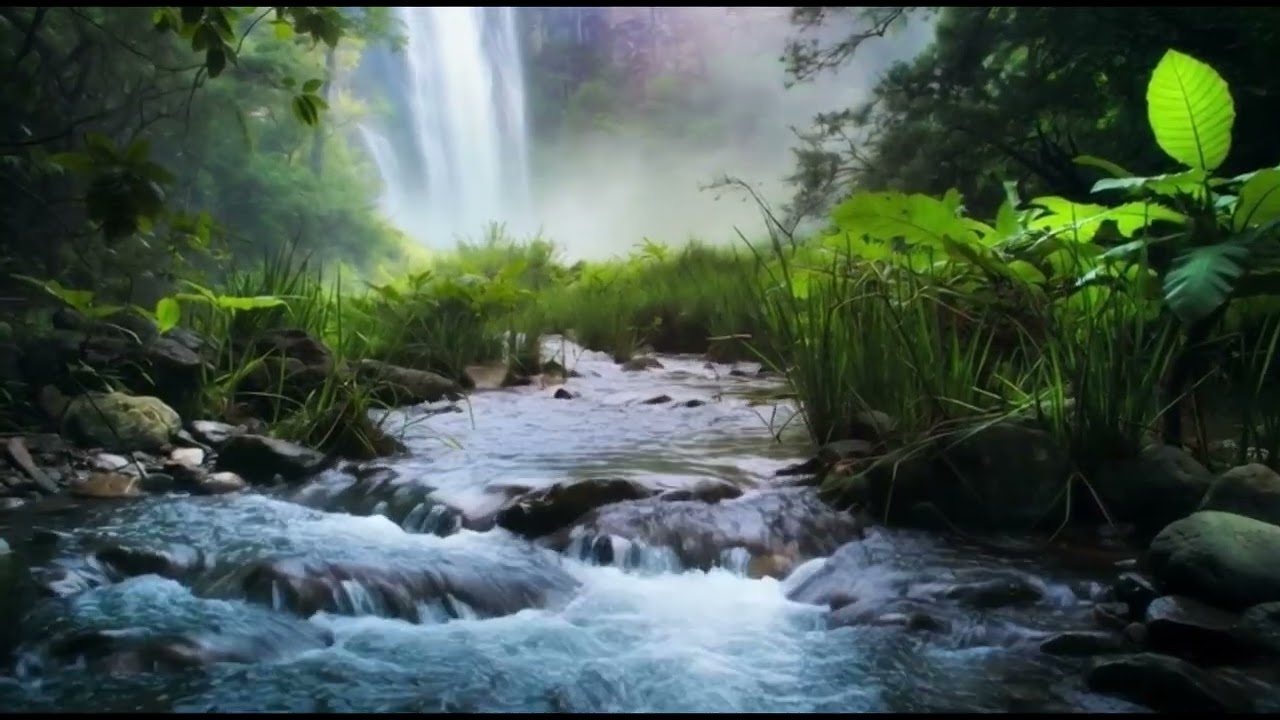 Peaceful Night Music for Deep Sleep and Healing Mi