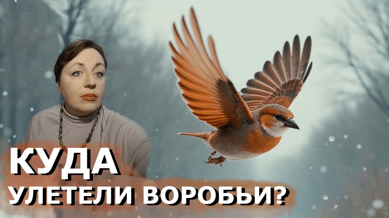 🤔 Трагическая участь воробьев: три версии. Хроника гибели планеты