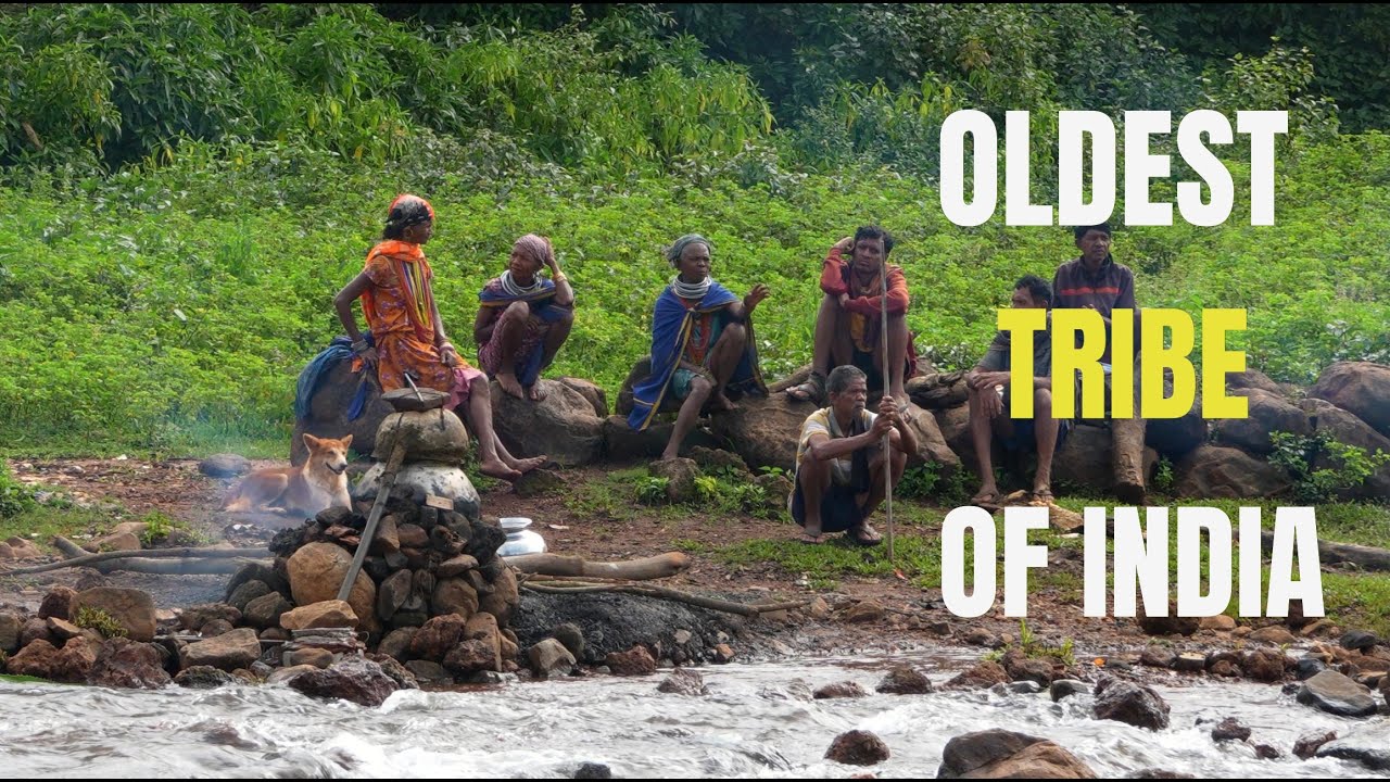 Day 10- Solo Forest Night & Tribal Life | Paradise on earth, Koraput  Odisha