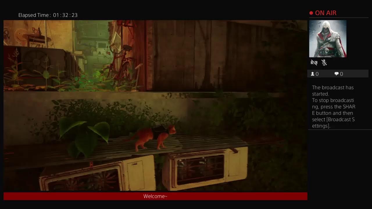 Stray - The Lost Kitty Chronicle