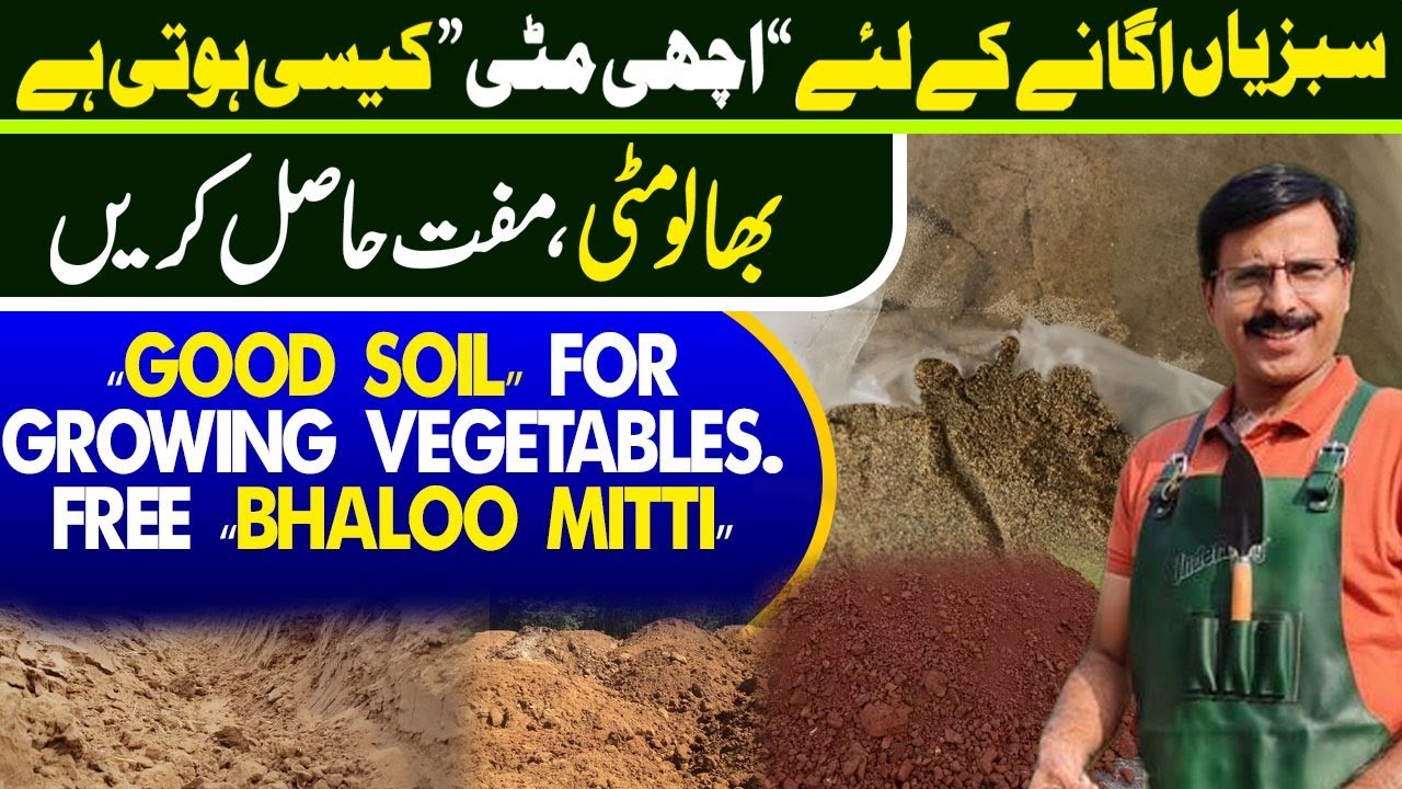 GOOD SOIL for growing Vegetables | Free Bhaloo Mitti | Gardening With Javed Iqbal