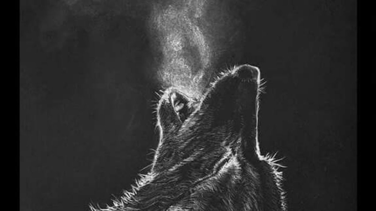 Leo Mid Month November 2018 Reading