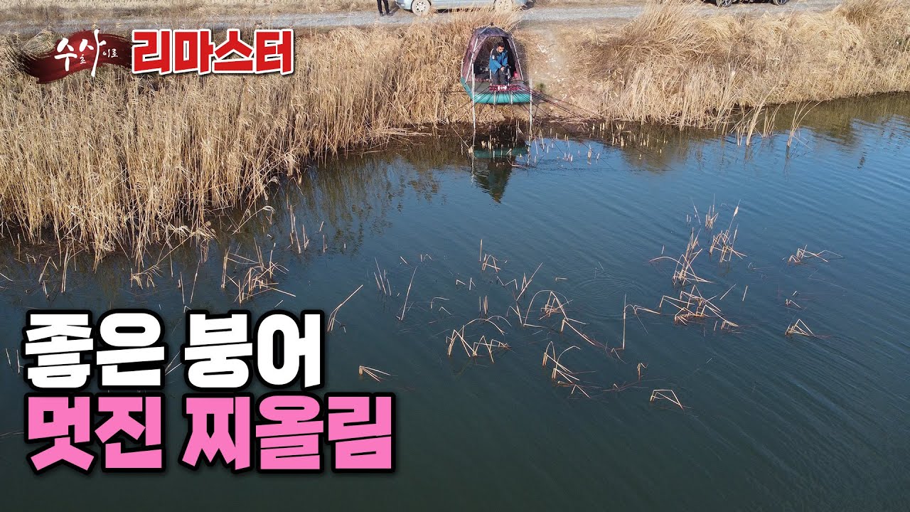 [리마스터] FTV 수초 사이로 - 좋은 붕어, 멋진 찌올림 (2024.02.05.방송)