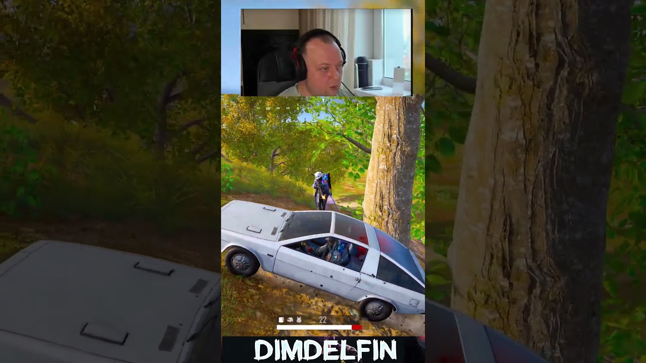 пулик сила в хороших руках #pubgbattlegrounds #pubg #dimdelfin