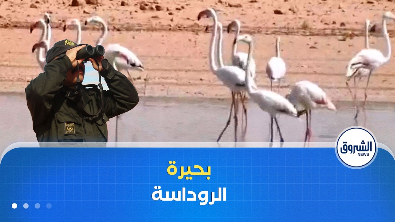 بحيرة 