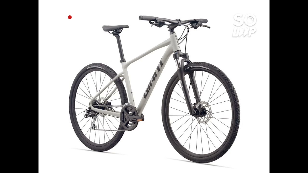 Giant Roam 3 ! Amazing Giant Hybrid Bike of 2021