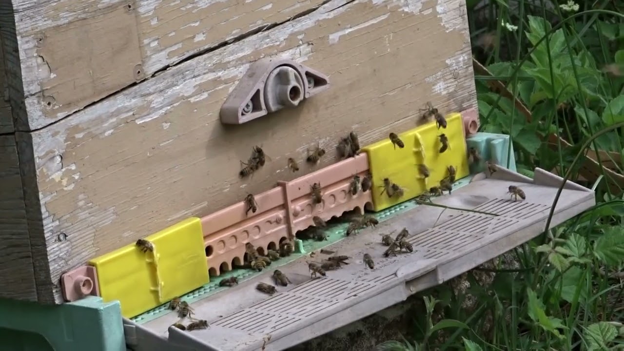 Progetto senza titolo 2