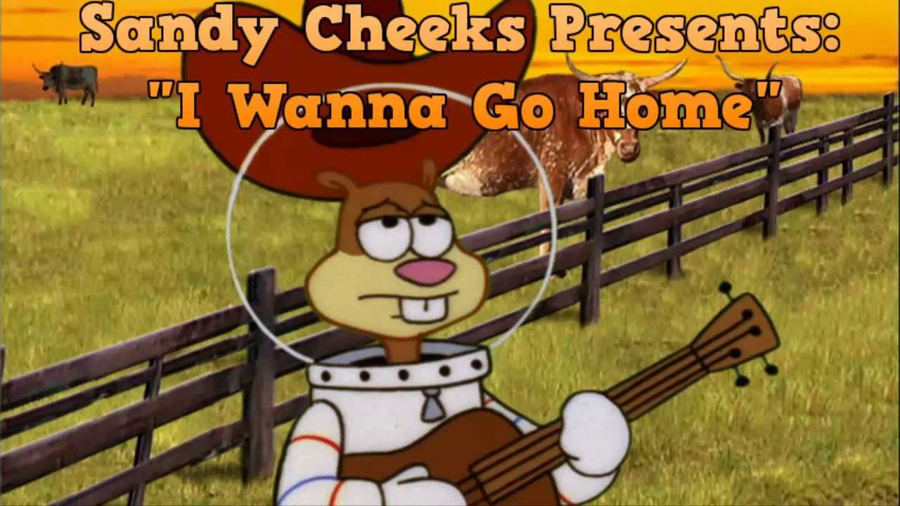 Sandy Cheeks - 