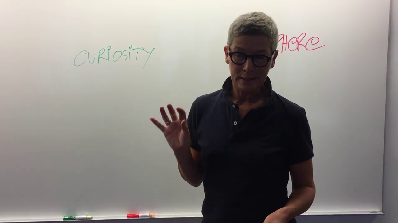 LearnBase Language Coaching: Best Practise Charlotte Steengaard Studieskolen, Copenhagen (Denmark)