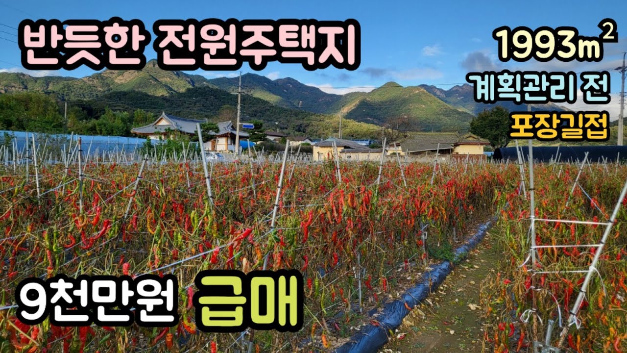 (매물번호14472) 9천만원 보은부동산 1993㎡(603) 보은땅 보은토지매매매물 청주부동산 청주토지 시골땅 촌땅 싼땅 급매 농막 주말농장 집터 전원주택지 대전부동산 대전토지
