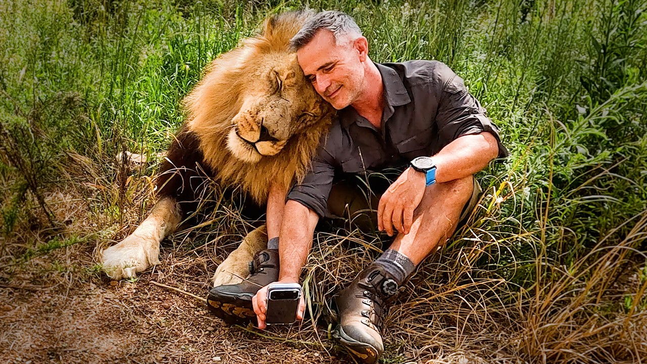 ANIMALS and Human Reunited - Time is Running Out for My LION Friends | The Lion Whisperer