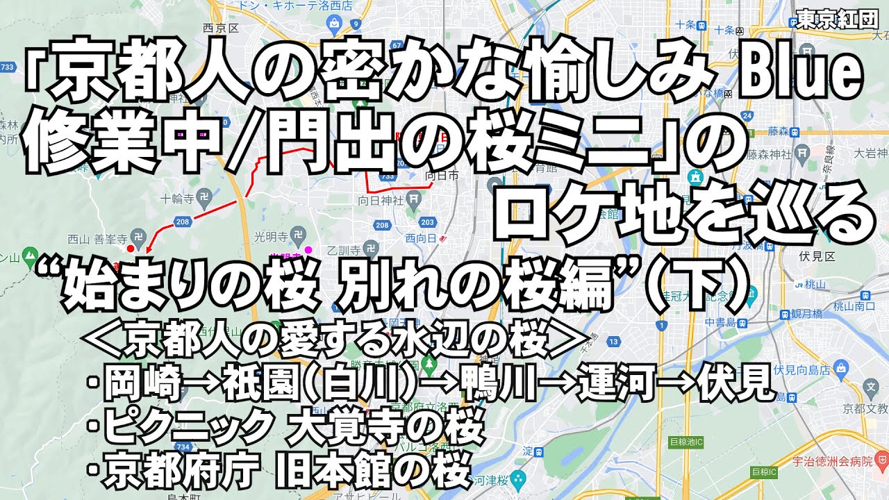 「京都人の密かな愉しみ Blue 修業中/門出の桜ミニ」のロケ地を巡る “始まりの桜 別れの桜編”（下）