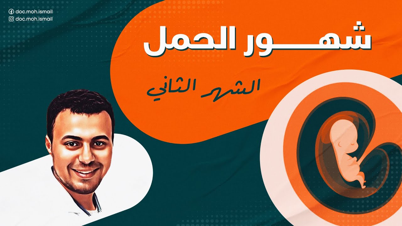 الشهر التاني في الحمل  شكل الجنين وأعراض الحمل وعلاجها