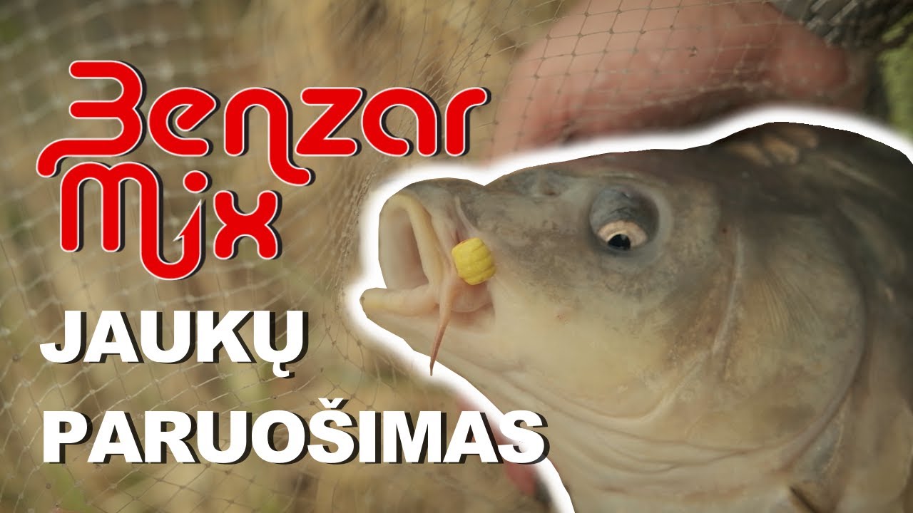 Benzar Mix jaukų paruo&scaron;imas. Kaip teisingai paruo&scaron;ti jauką Method Feeder'iui. Žvejybosreikmenys.lt