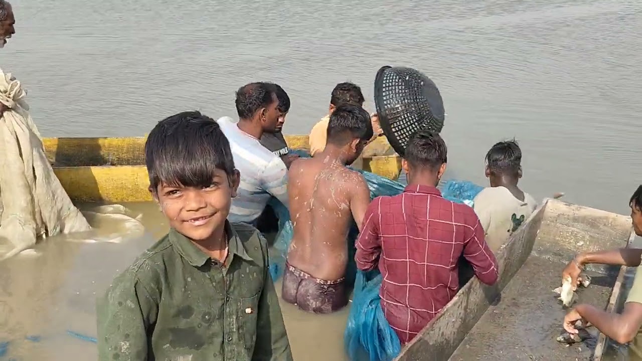 Talab mein NET dalne ka kam kar raha tha itni pakdi bachi 🐬