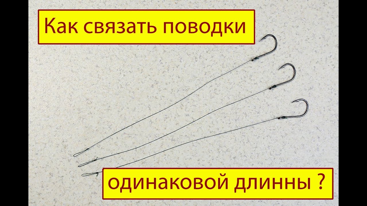 Как связать  поводки одинаковой длинны.