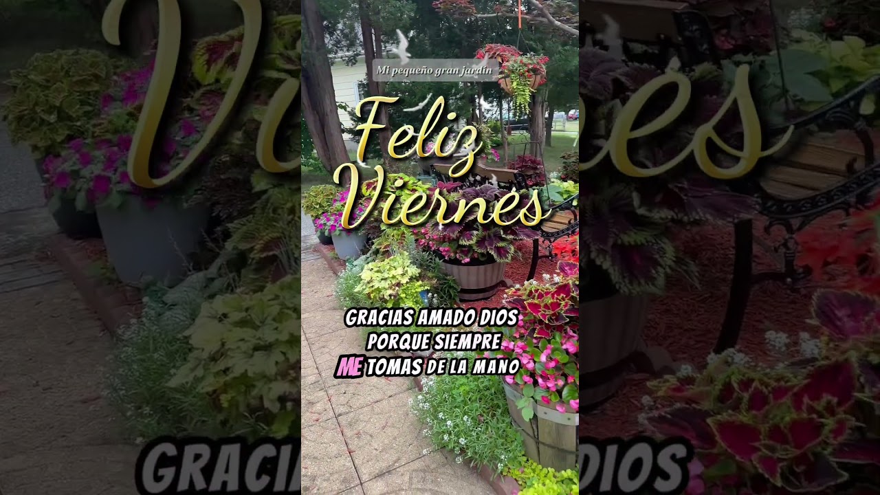 Feliz viernes! #mipeque&ntilde;ogranjardin