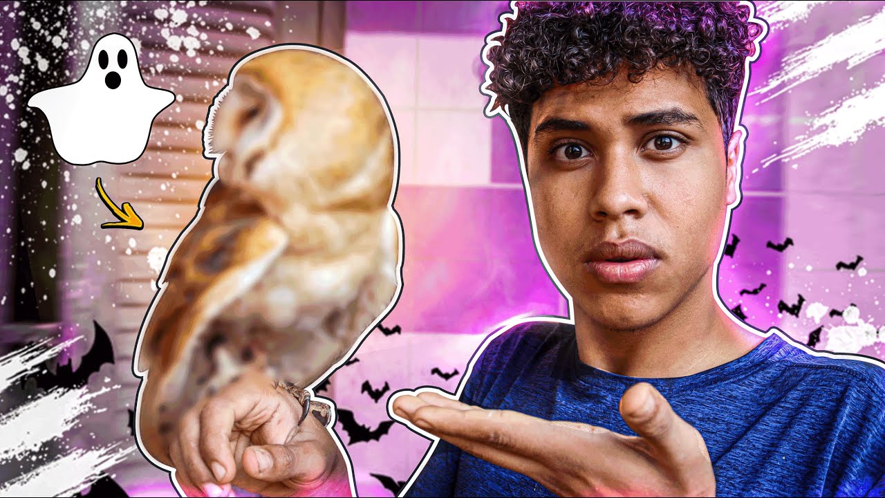 رحلة البحث عن شبح الليل الابيض !! 👻😱