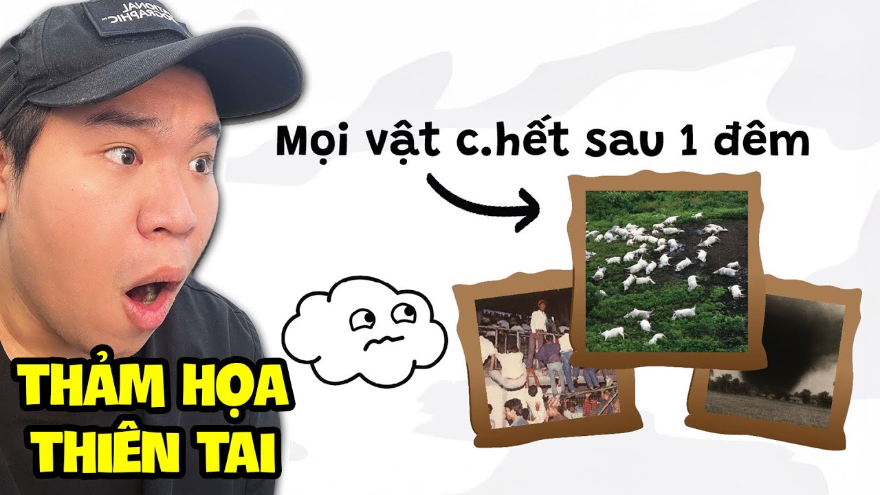 Rùng Mình Với 7 Câu Chuyện Thảm Hoạ Thiên Nhiên