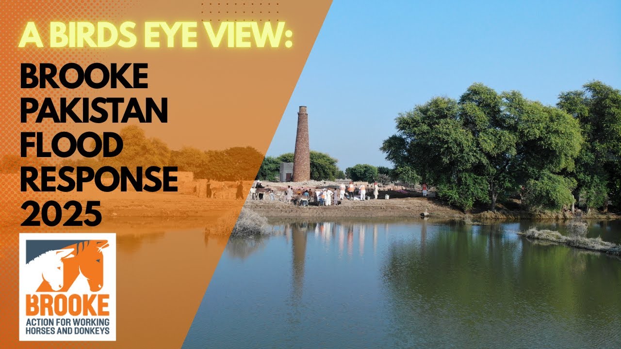 Pakistan Flood 2025: A Birds Eye view: Brooke Pakistan Response