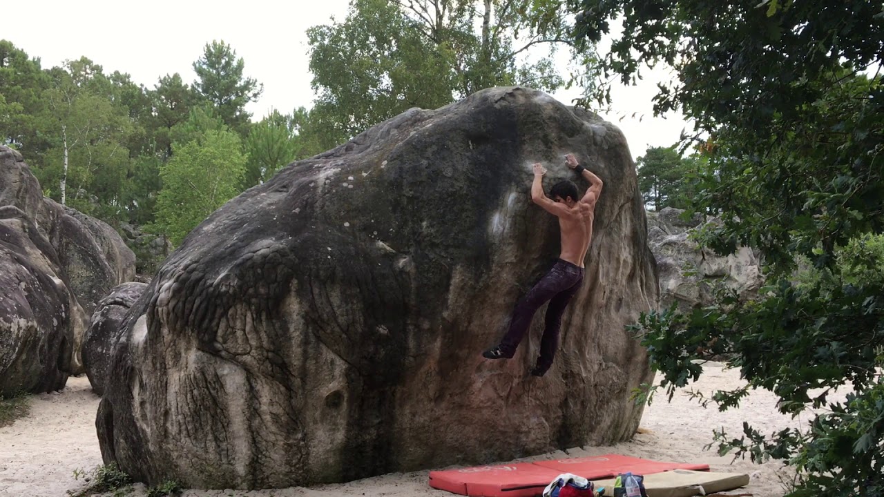 Fontainebleau - L'Elephant - Le Lepreux (direct assis) (7B)