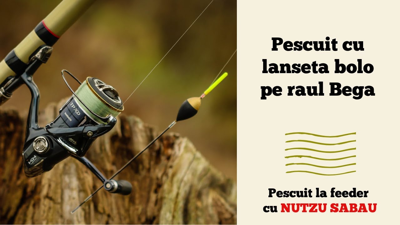 Pescuit cu lanseta bolo pe raul Bega