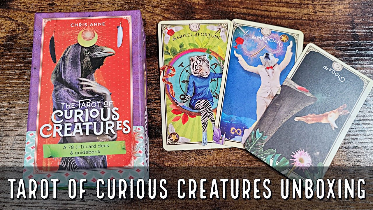 The Tarot of Curious Creatures | Unboxing and Flip Through