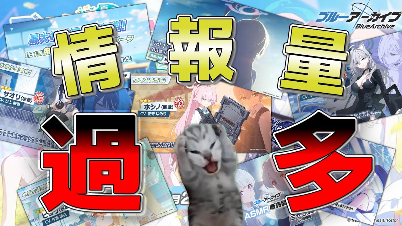 【ブルアカ】猫ミームが味わう！初めてのブルアカ周年生放送【猫ミーム】
