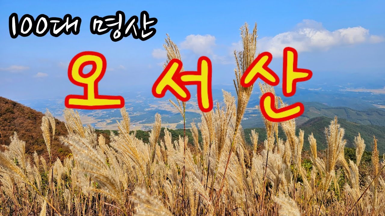 오서산(해발 791m) ⛰️ 1산 2정상석 ✌️ 100대 명산 🏞 억새능선 백패킹 명소 🏕 서해바다 뷰 맛집 🌊 가을 🍂 등산 🧗&zwj;♂️ 산행 🥾