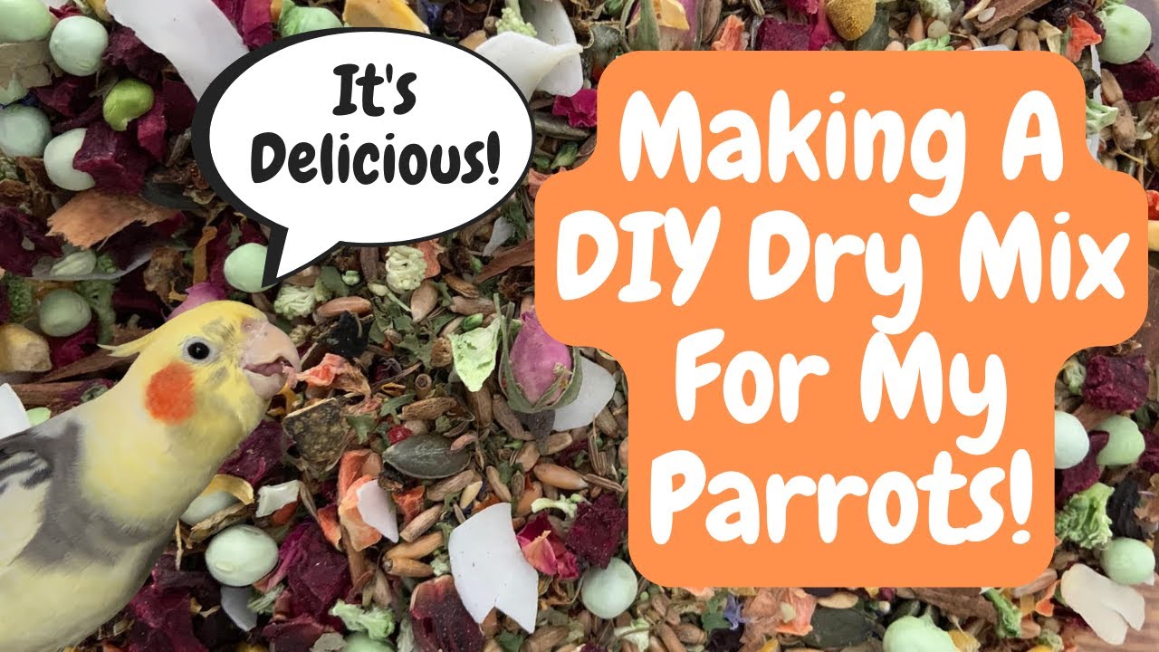 Parrot Diet | Making A DIY Dry Mix For My Birds | TheParrotTeacher