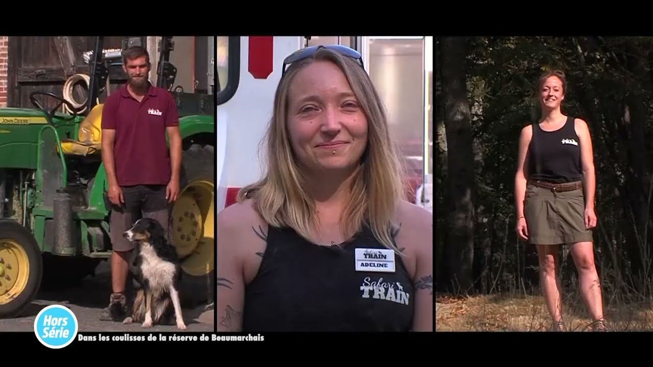 La Réserve de Beaumarchais dans tous ses états - Hors Série