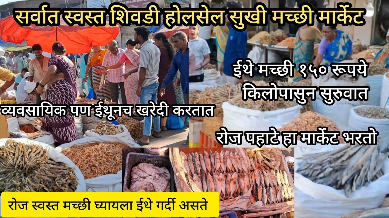 पावसाळ्यासाठी सर्वात स्वस्त होलसेल सुखी मच्छी मार्केट शिवडी |Sewri Wholesale Dry Fish Market | Sewri